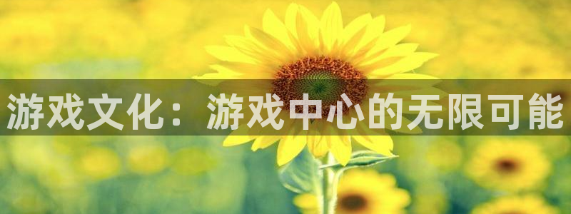 完美电竞英文：游戏文化：游戏中心的无限可能