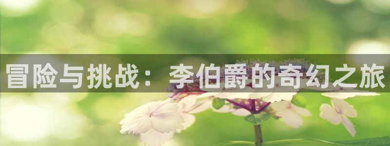  完美电竞app创作者：冒险与挑战：李伯爵的奇幻之旅