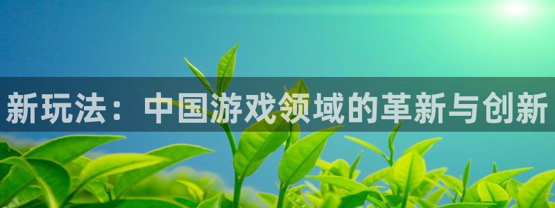 完美电竞平台app不显示库存信息：新玩法：中国游戏领域的革新