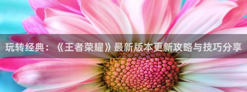 完美电竞平台app下载：玩转经典：《王者荣耀》最新版本更新攻