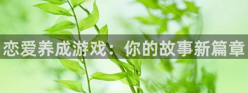  完美电竞游戏平台：恋爱养成游戏：你的故事新篇章
