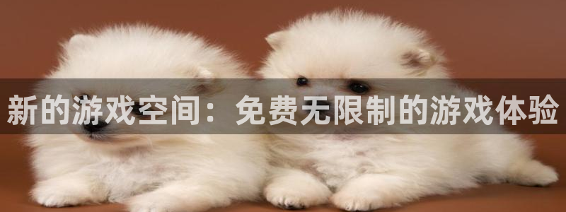  完美电竞vac什么意思：新的游戏空间：免费无限制的游戏体验
