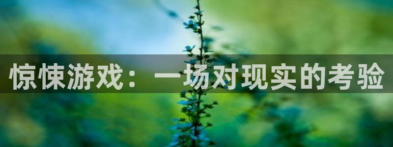  完美电竞平台完美时刻怎么一直生成中：惊悚游戏：一场对现实的考