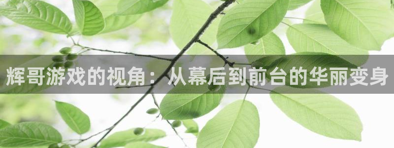 完美电竞无法绑定：辉哥游戏的视角：从幕后到前台的华丽变身