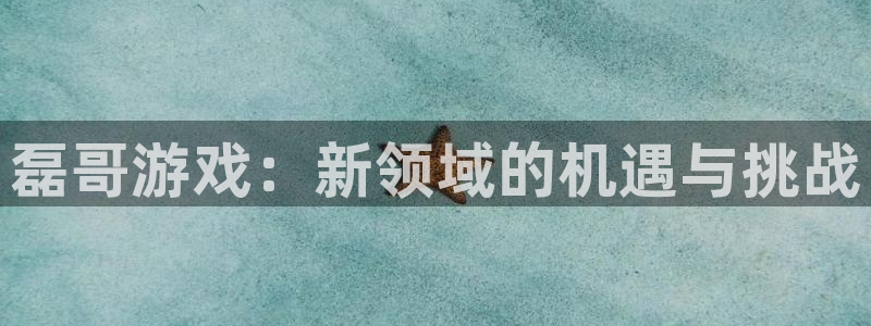 完美电竞怎么绑定：磊哥游戏：新领域的机遇与挑战