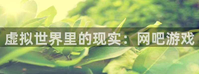  完美电竞平台实名认证改了怎么办：虚拟世界里的现实：网吧游戏