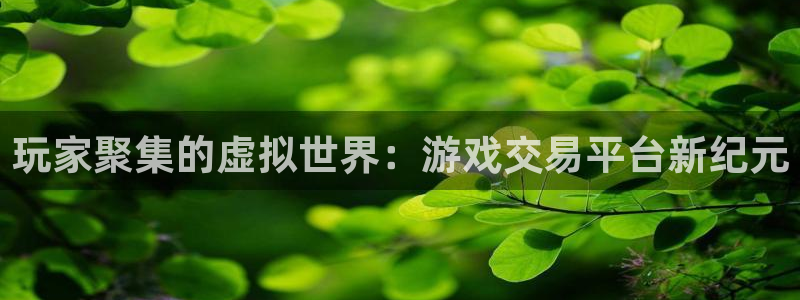  完美电竞平台老板：玩家聚集的虚拟世界：游戏交易平台新纪元