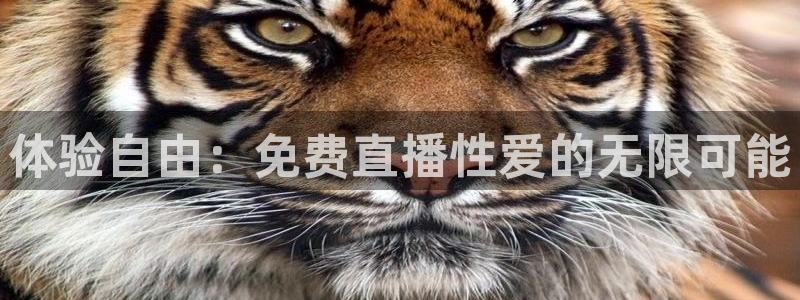 说球帝网页直播