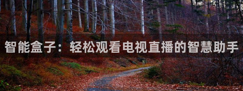 说球帝下载：智能盒子：轻松观看电视直播的智慧助手